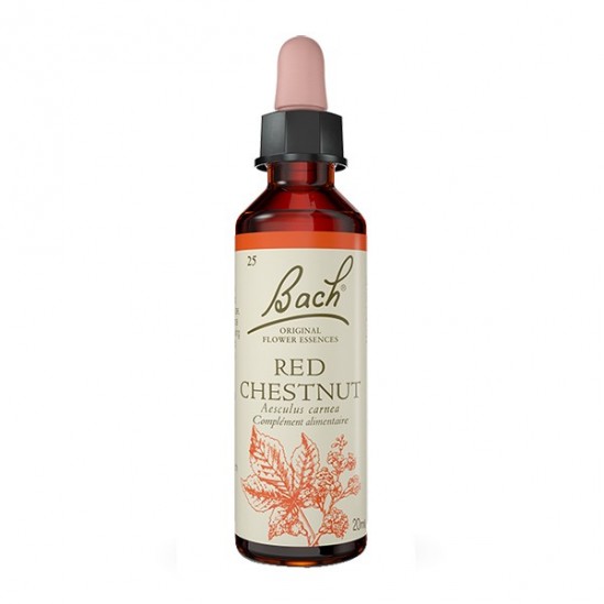 Fleurs de bach n°25 red chesnut 20ml FLEURS DE BACH - Fleurs de Bach Fleurs de bach n°25 red chesnut 20ml FLEURS DE BACH - Fleurs de Bach