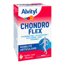 Alvityl chondroflex 60...