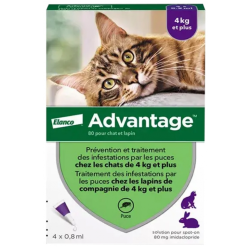 ELANCO Advantage 80 chat 4...