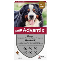 Advantix Grand Chien 40 à...